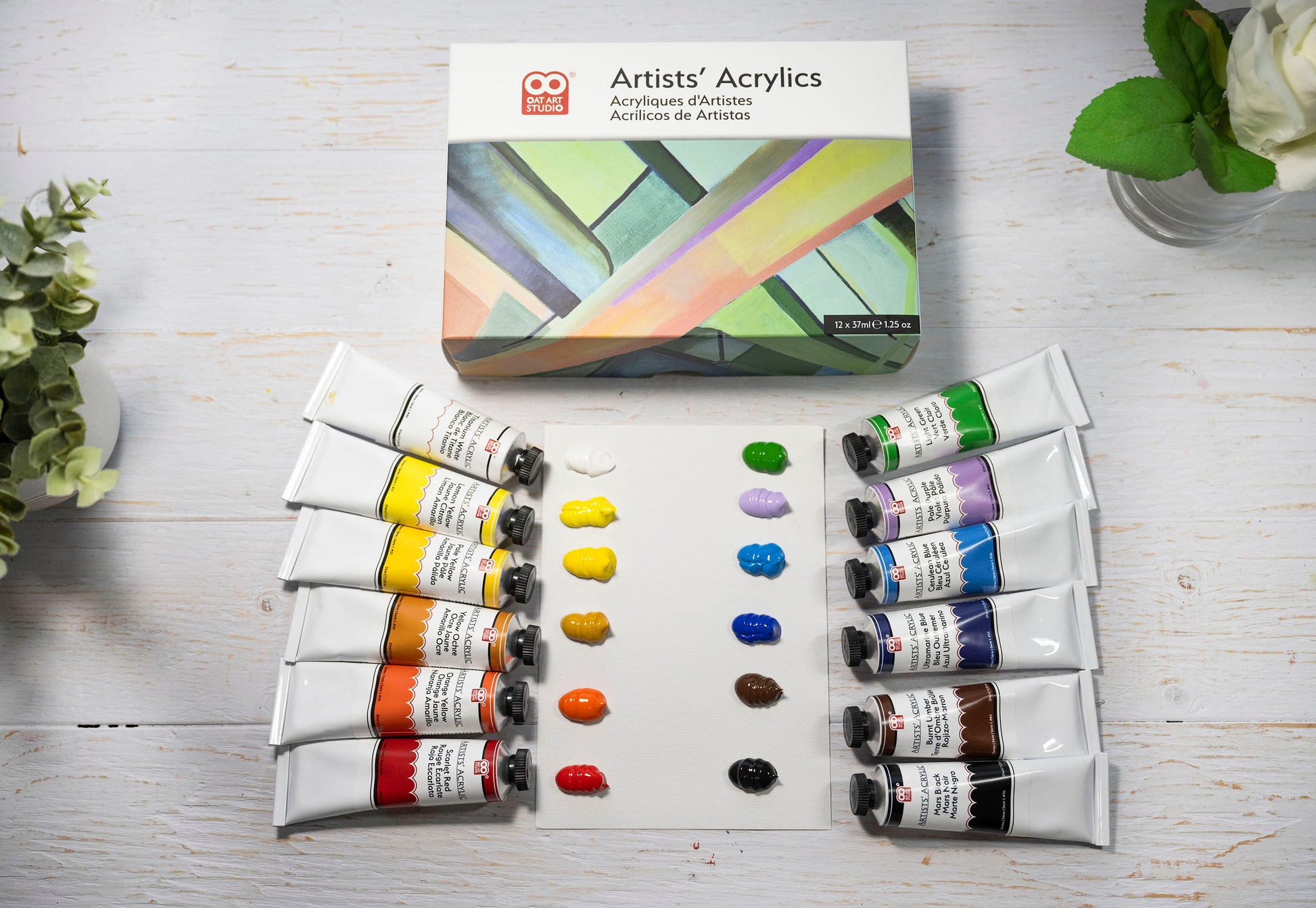 OAT ART STUDIO professional acrylic paint set 12 colors 37ml tubes